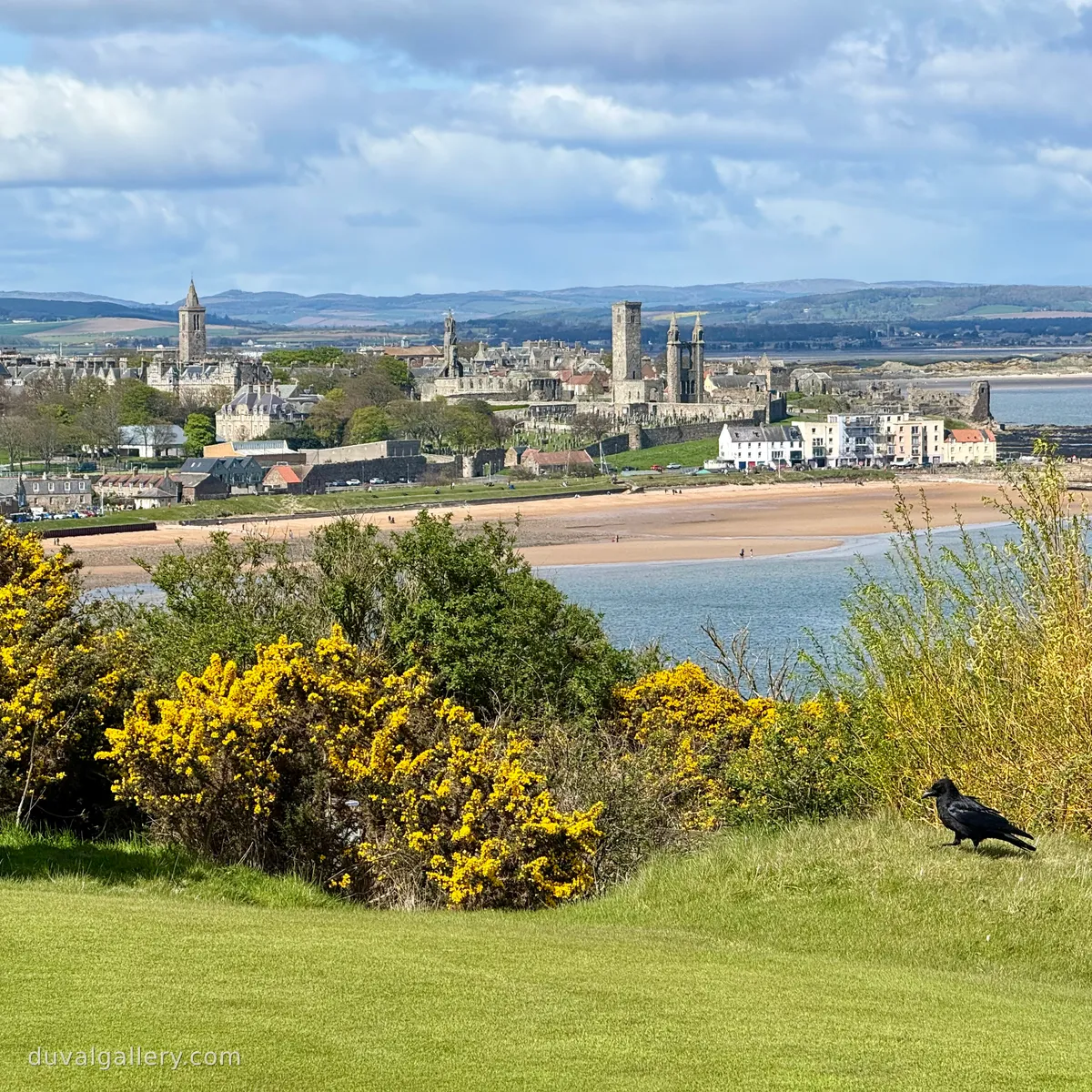 Day 7 - Castle Course (St Andrews Links)