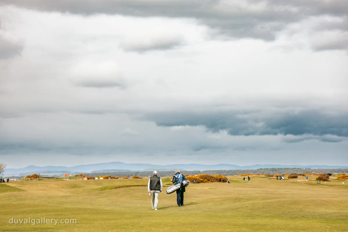 OldCourseReverse82.jpg
