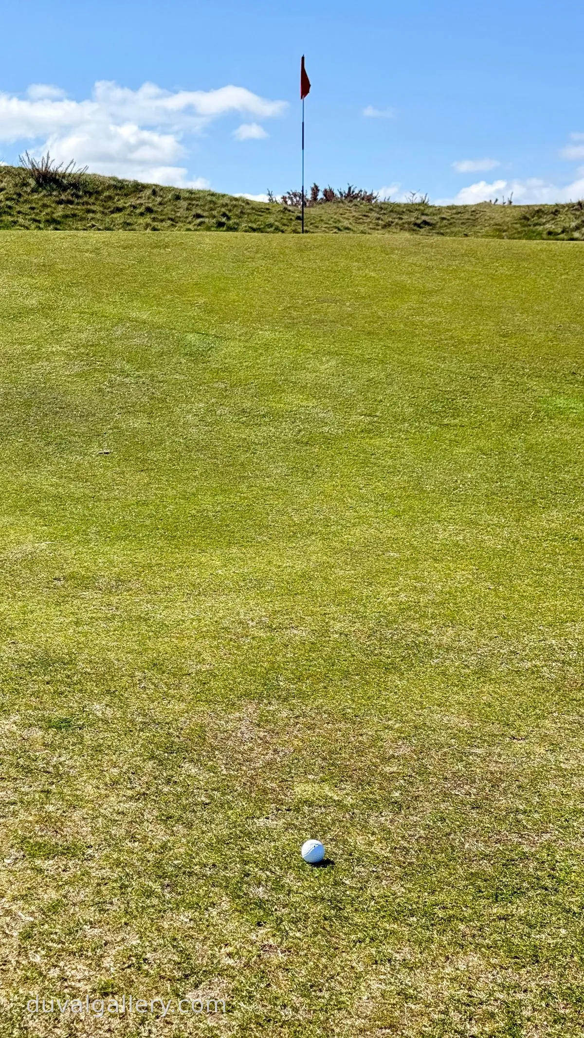 2026-04-22_14.07.00-1.jpg