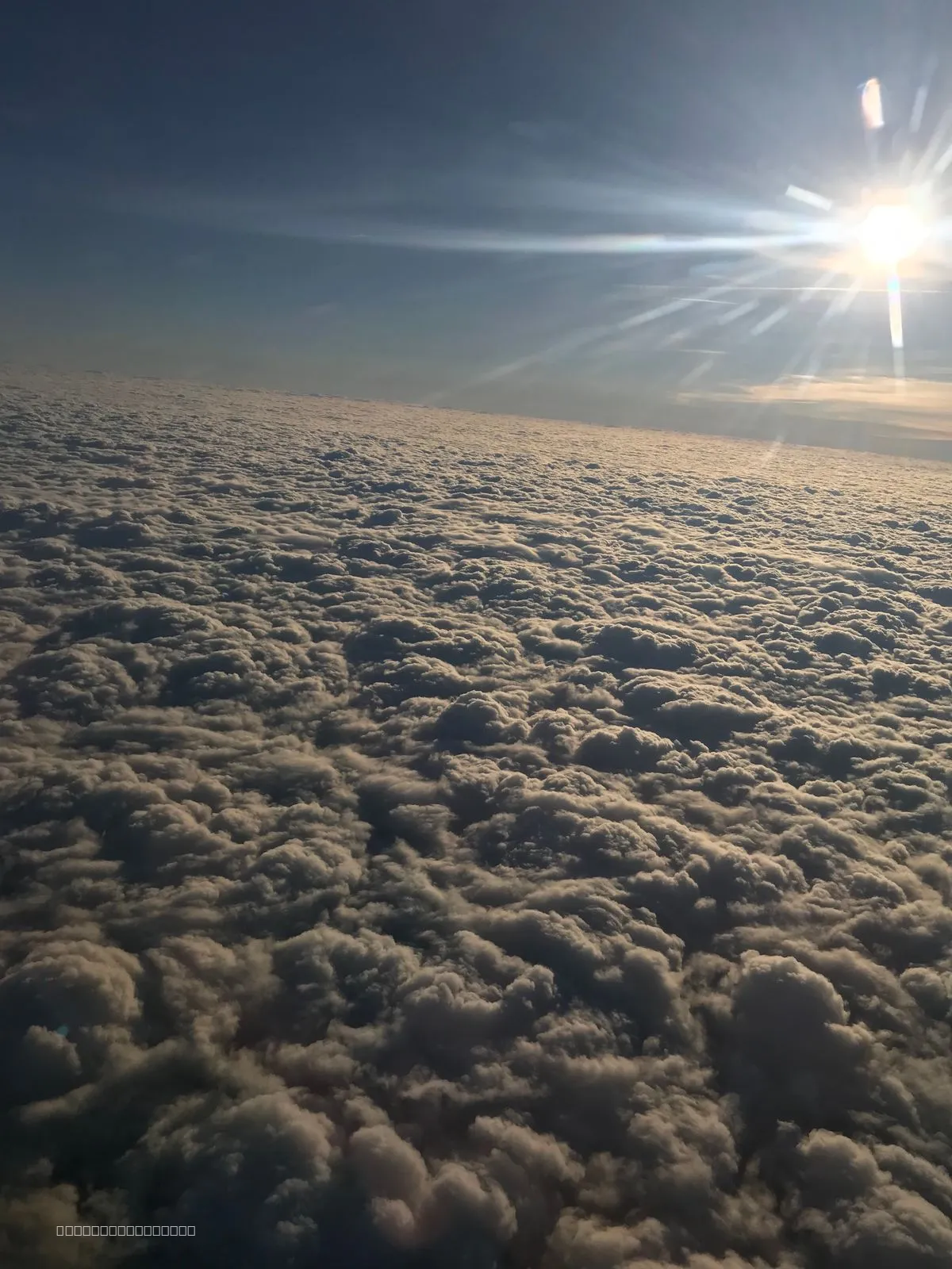 2017-11-14_07.42.09.jpg