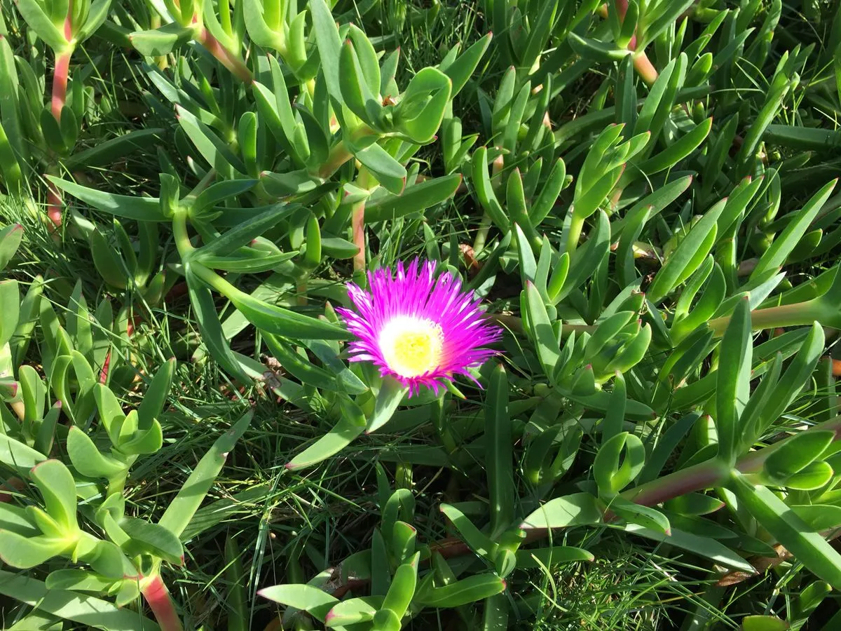 2016-11-20_11.47.10.jpg