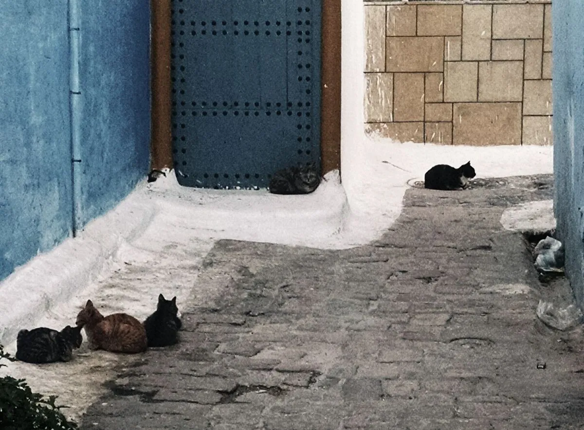 Rabat_Kasbah_02.jpg