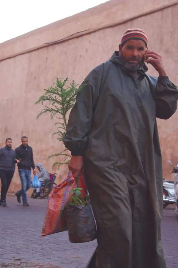 Marrakech_Bab_Agnaou_03.jpg