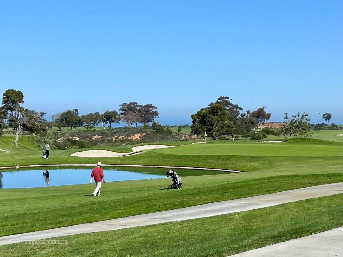 2024-04-09_13.24.08.jpg