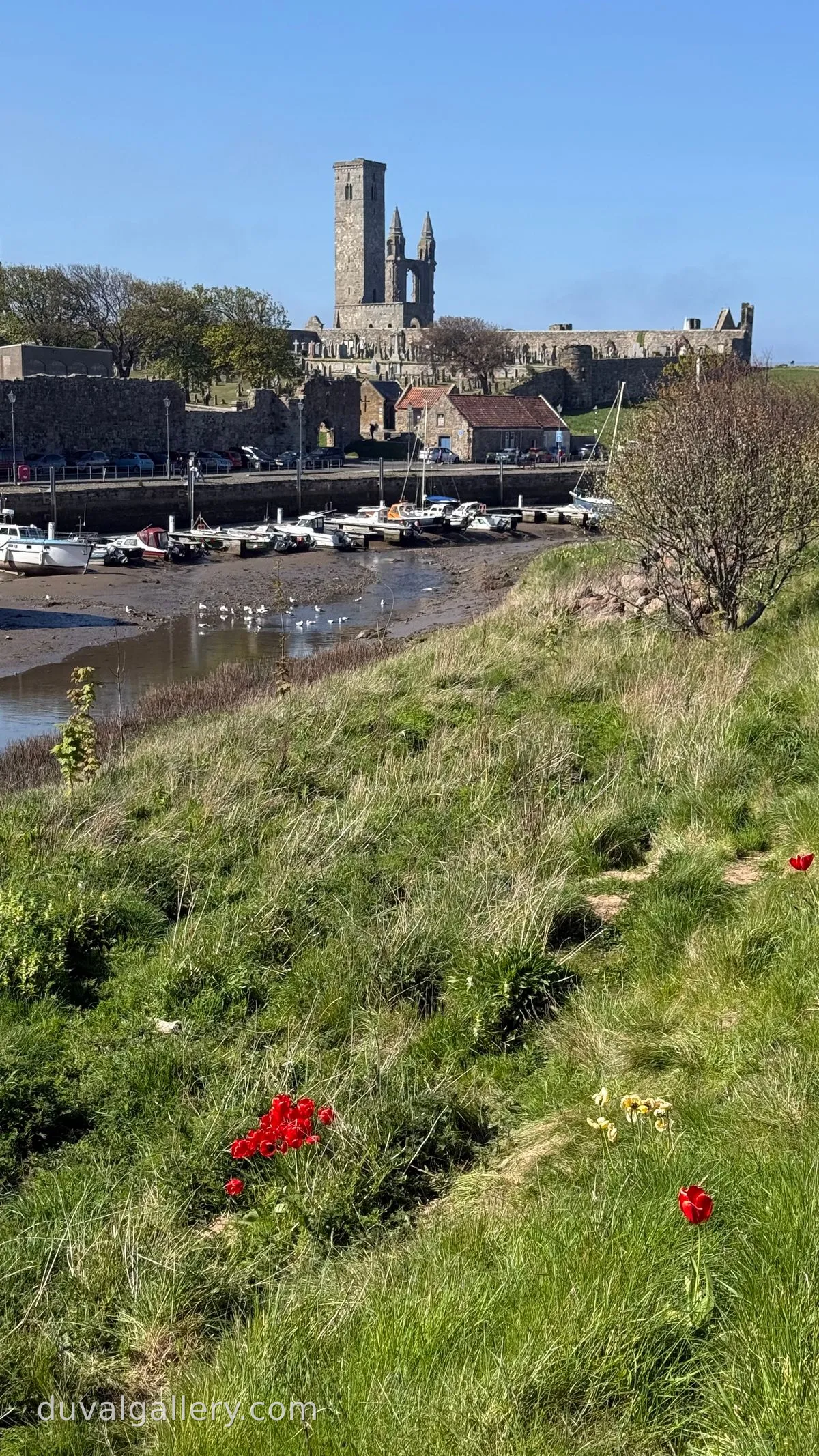 St Andrews Harbor