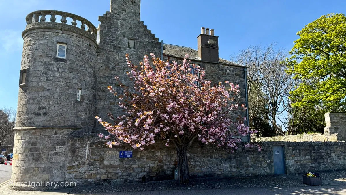 Spring is in the air