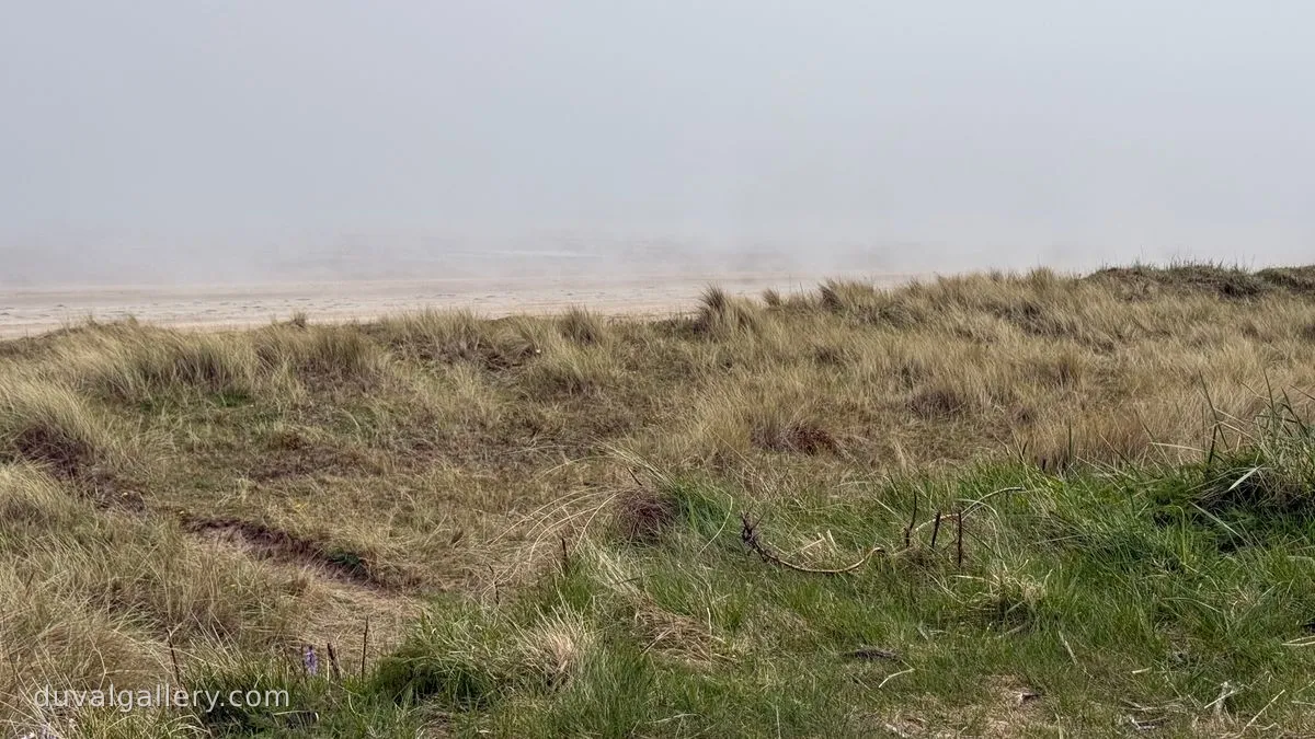 West Sands in the haar (fog)