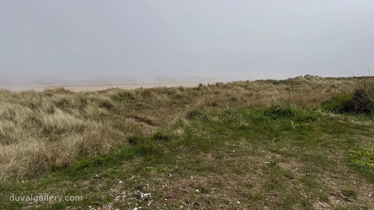 West Sands in the haar (fog)